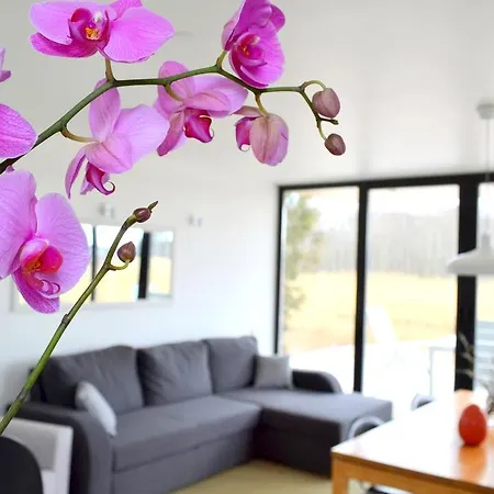 Haermati Puhkemaja- Riverside 4* Nasva (Saare)