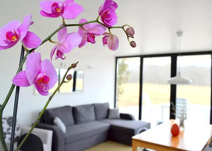 Haermati Puhkemaja- Riverside 4* Nasva (Saare)